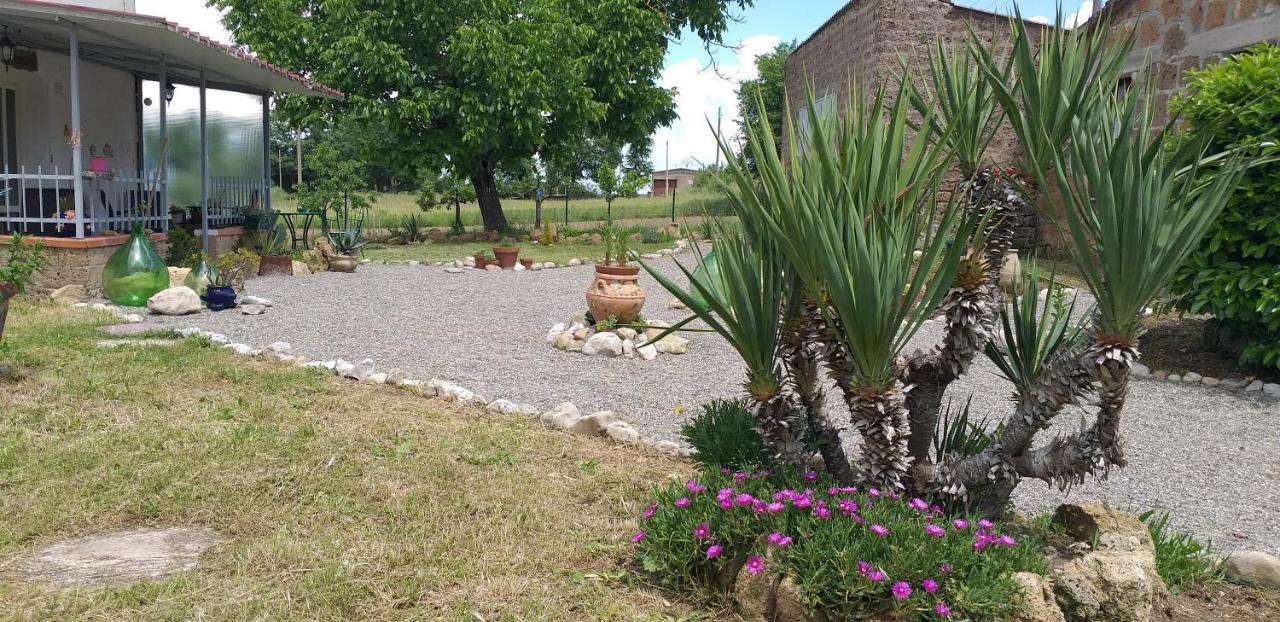 La Cascina Della Grotta Di Tufo Bed & Breakfast San Valentino  Exterior photo